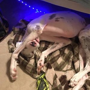 Meet your Posher, Brooklynn